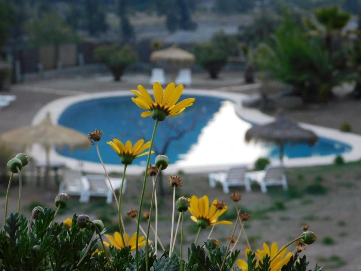 Miramonte B&B (Adults Only) Guayacan  エクステリア 写真